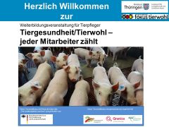 Eröffnungsbild 2021 Eröffnungsbild 2021
