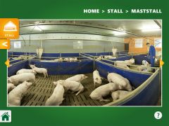 Rundgang durch den virtuellen Schweinestall Rundgang durch den virtuellen Schweinestall