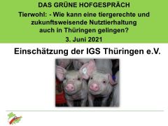 210603 HofgesprächGrüneTH IGS
© IGS e.V. 210603 HofgesprächGrüneTH IGS
© IGS e.V.
