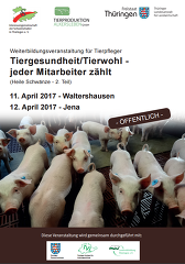 Einladung und Programm (IGS-Coudophagieprojekt) Einladung und Programm (IGS-Coudophagieprojekt)