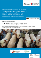 Einladung Weiterbildungsveranstaltung
© TLLLR, 2025 Einladung Weiterbildungsveranstaltung
© TLLLR, 2025