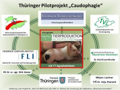 Pilotprojekt Übersicht
© Pilotprojektgruppe Pilotprojekt Übersicht
© Pilotprojektgruppe