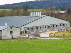 Stallneubau Bernsgrün-Hohndorf
© IGS Stallneubau Bernsgrün-Hohndorf
© IGS